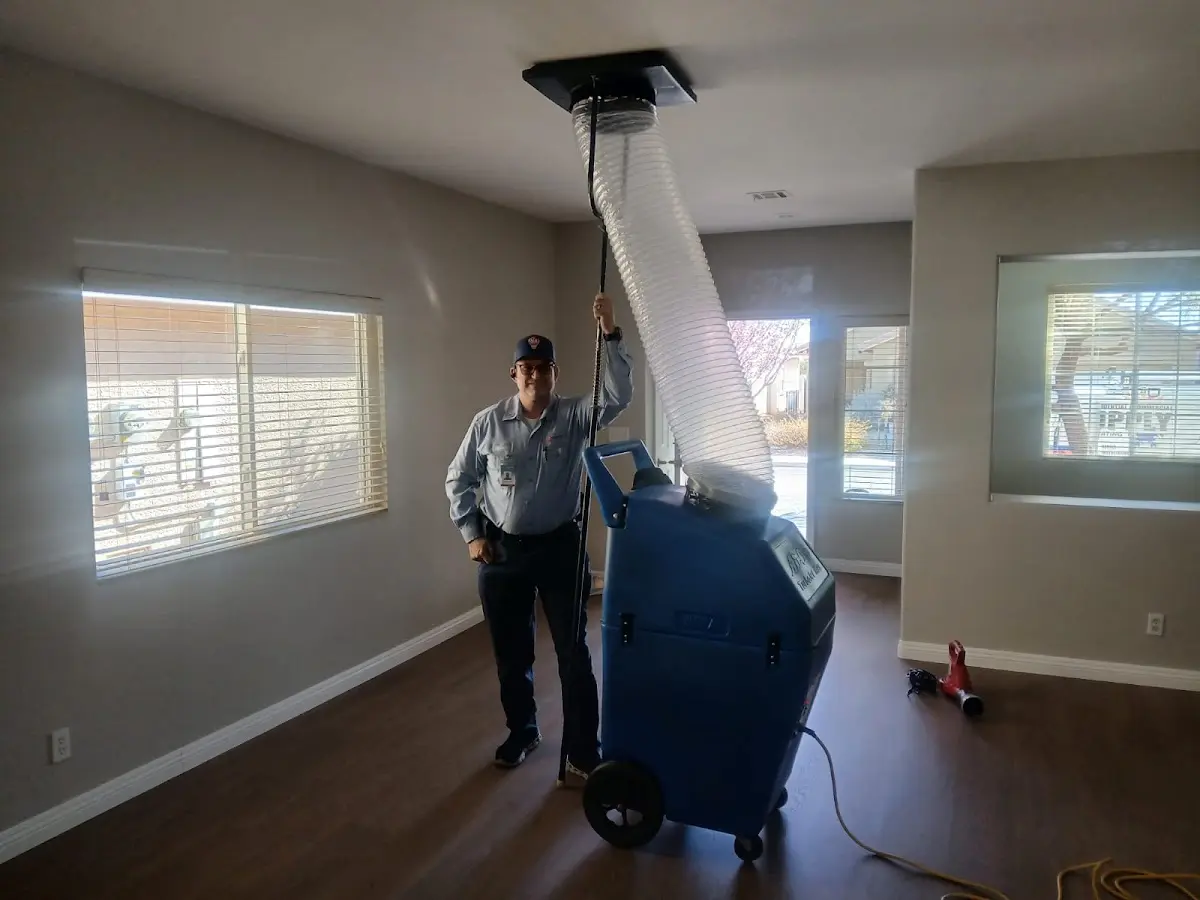 Professional Dryer Vent Cleaning work inside a Elmira home